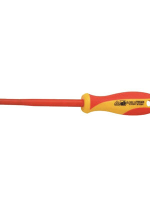VDE Germat Torx Schroevendraaier